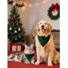image:imageSWOMOG Family Christmas Pajamas Set Women amp Men Long Sleeve Pj Set Party Sleepwear ButtonDown Loungewear SetGreen