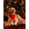 image:imageSWOMOG Matching Family Pajama Set Long Sleeve Christmas Pajama Button Down Holiday Sleepwear SetRed