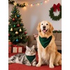 image:imageSWOMOG Family Christmas Pajamas Set Women amp Men Long Sleeve Sleepwear Party Pj Sets ButtonDown Loungewear SetGreen