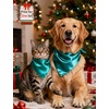 image:imageSWOMOG Family Matching Pajamas Set Silk Satin Button Down Sleepwear Long Sleeve Nightwear 2 Pcs Pj Set SXXLGreen
