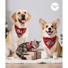 image:imageSWOMOG Family Matching Pajama Set Silky Satin Pajamas Long Sleeve Sleepwear Button Down Loungewear 2 Pcs Pj SetPets Christmas Pattern Red XLarge