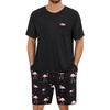 Pink Flamingos