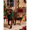 image:imageSWOMOG Family Christmas Pajamas Set Long Sleeve Sleepwear Sets Button Down Loungewear Set Party Holiday Pjs SetsGreen