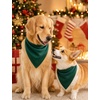 image:imageSWOMOG Family Christmas Pajamas Set Party Holiday Sleepwear Long Sleeve ButtonDown Loungewear SetGreen
