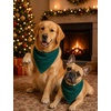 image:imageSWOMOG Family Christmas Pajamas Set Party Holiday Sleepwear Long Sleeve ButtonDown Loungewear SetGreen